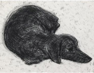David Hockney