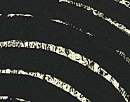 Richard Serra